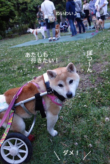 6日午後ブログ5