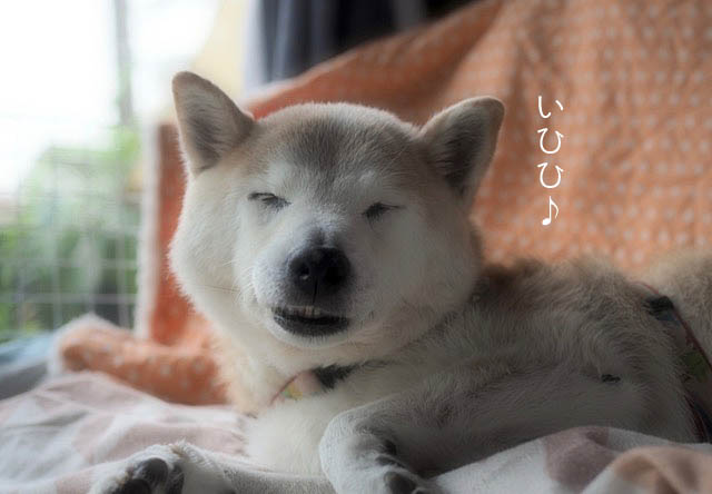 21日ブログ7
