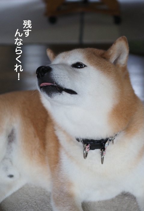20日夜ブログ７
