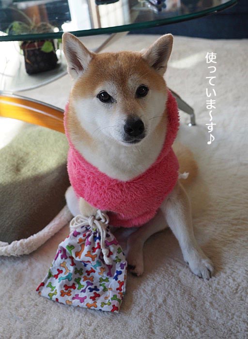 8日午後ブログ２