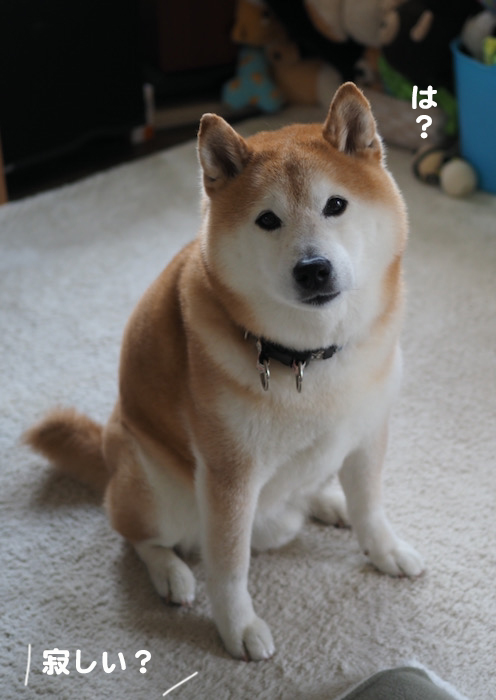 5日午後ブログ６