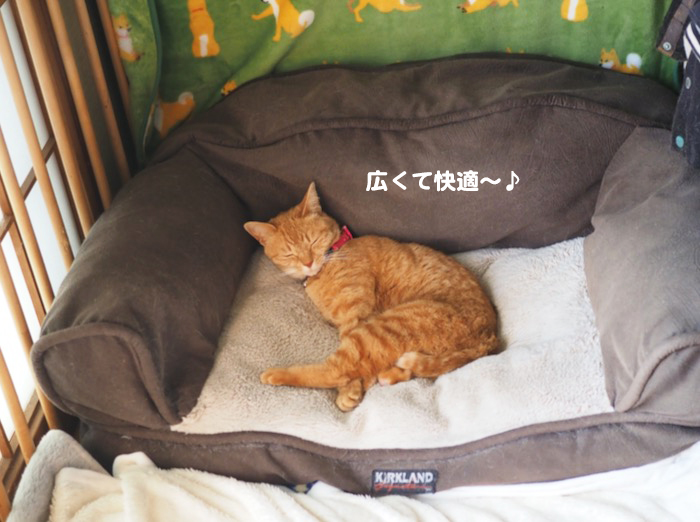 20日夕ブログ３