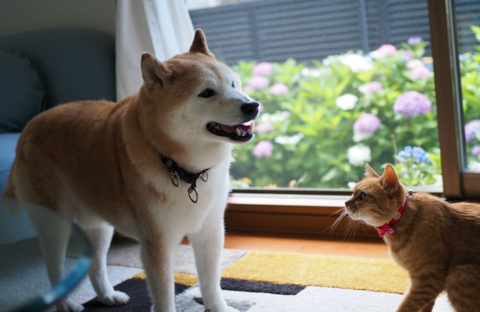 13日ブログ３