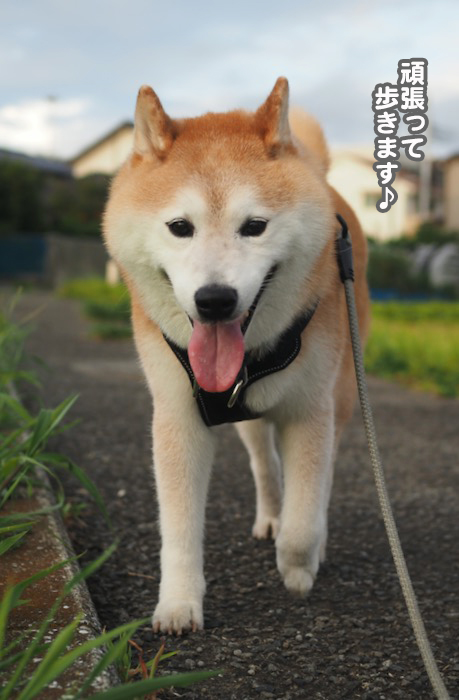 13日ブログ４