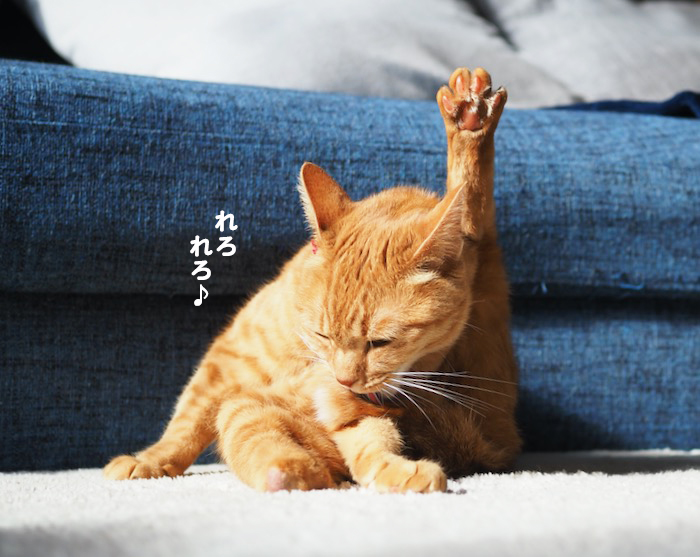 5日ブログ１