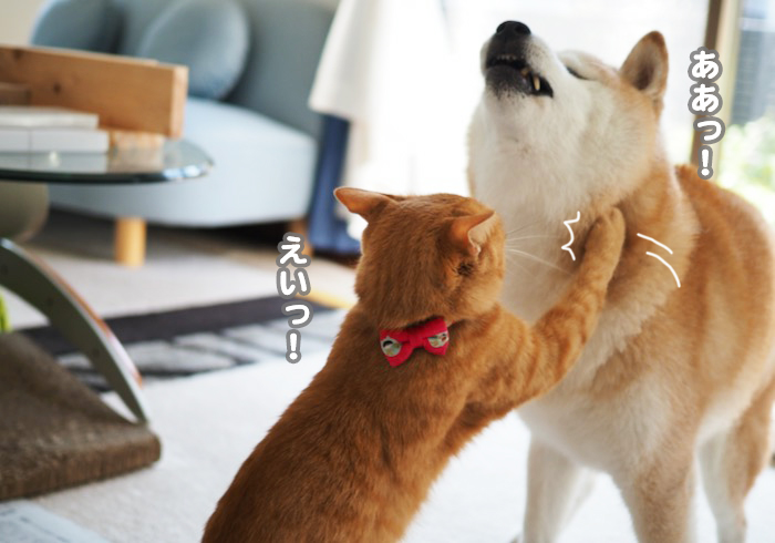 14日ブログ４
