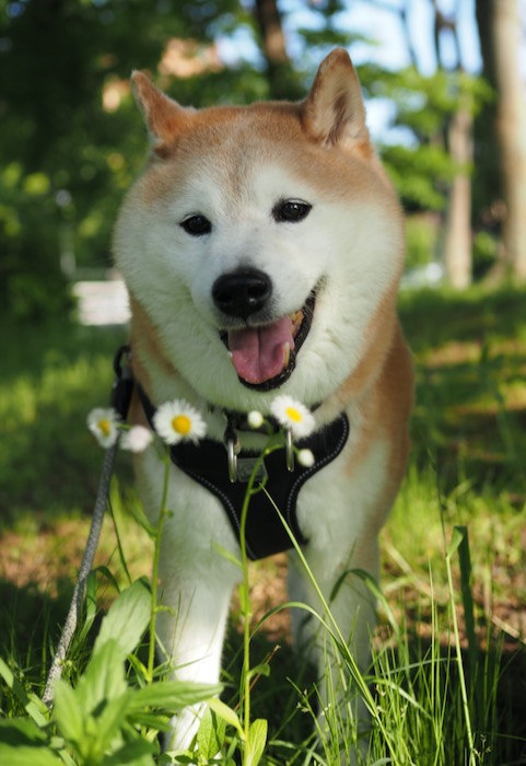 4日夕ブログ１１