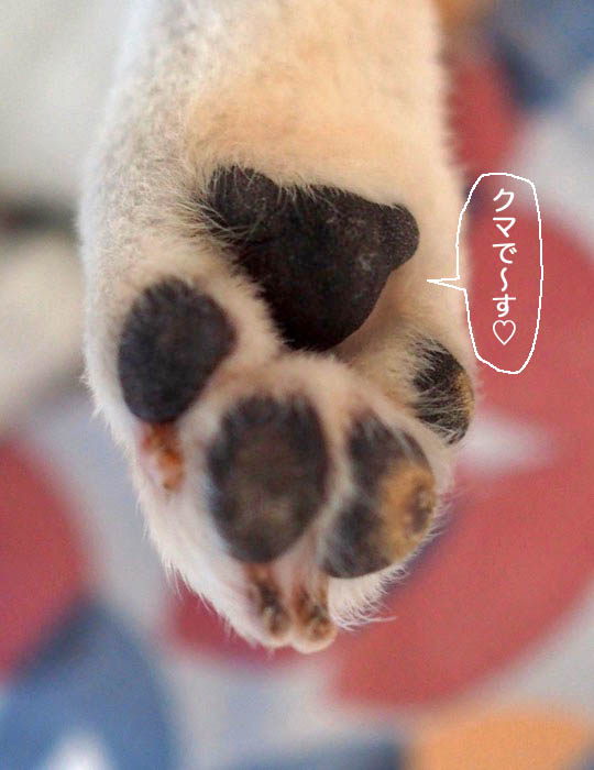 14日夜ブログ２