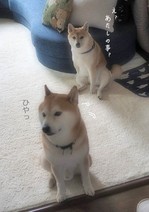 8日夜ブログ7