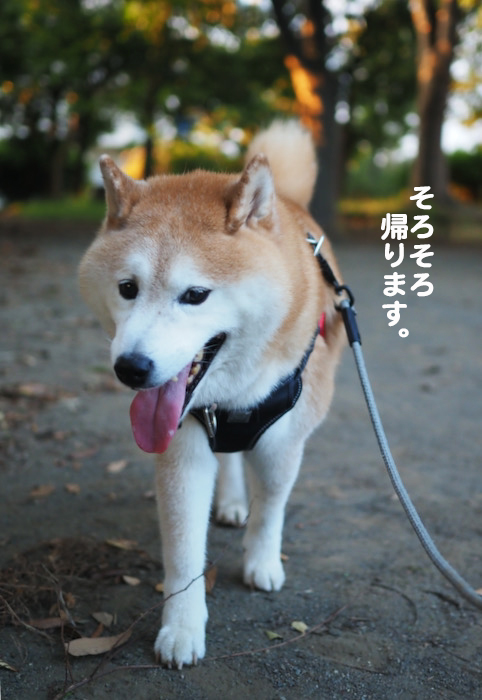 12日ブログ２