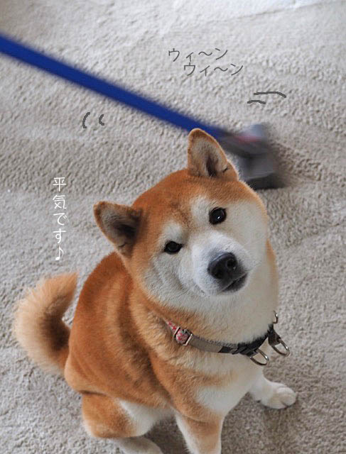 8日ブログ４