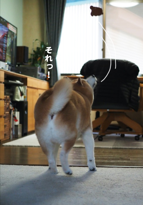 30日ブログ４