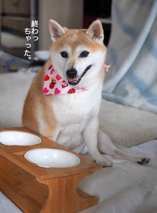 24日夜ブログ６