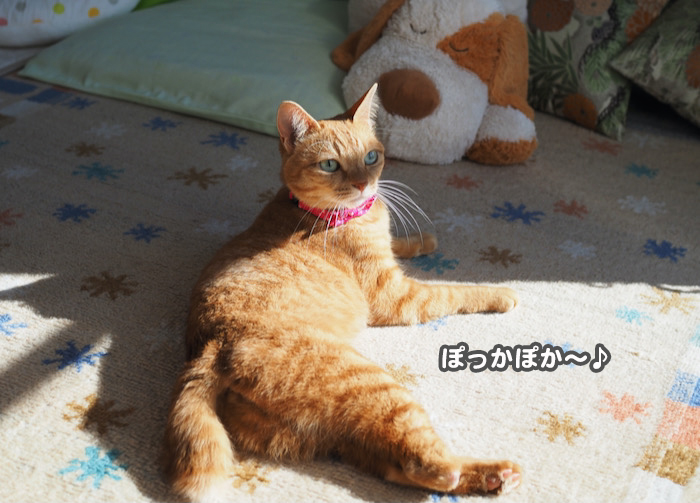 20日夕ブログ２