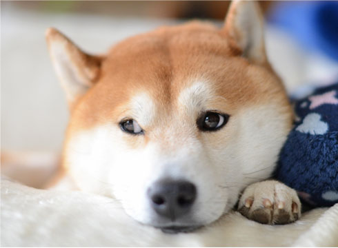 27日ブログ9.jpg