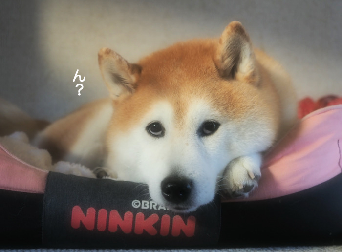 18日ブログ４