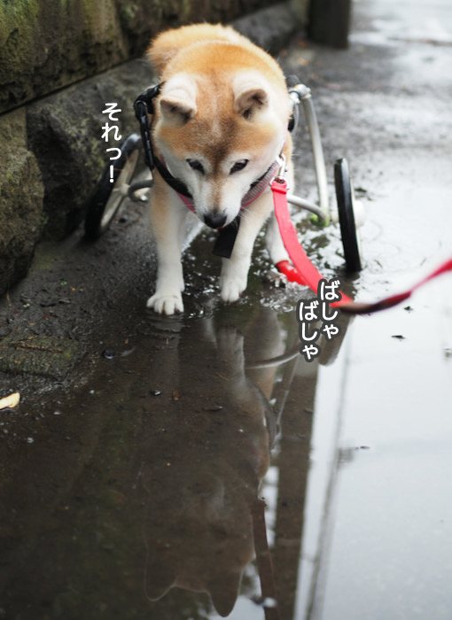 11日ブログ５