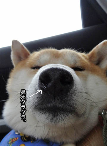 21日ブログ12.jpg
