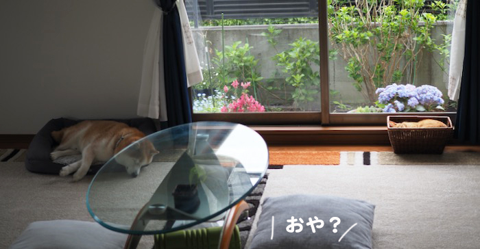 26日夕ブログ６