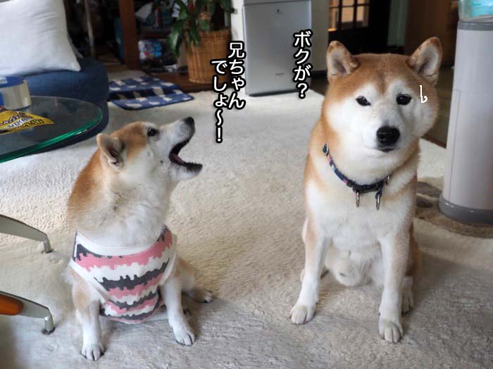 30日夜ブログ６