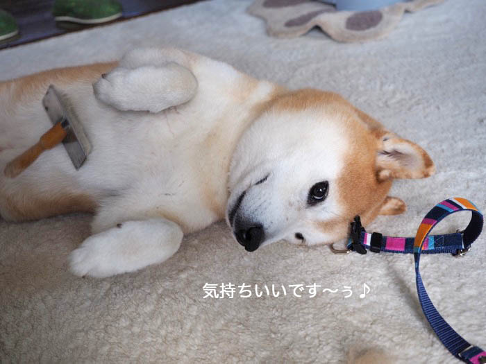 18日夜ブログ１