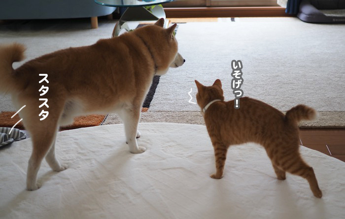 17日夕ブログ２