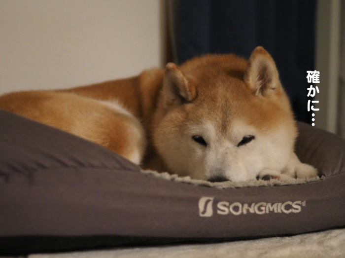 12日夜ブログ５