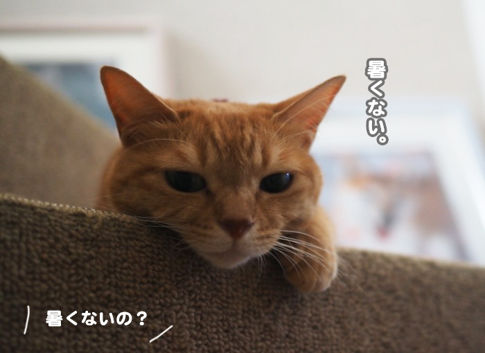 21日夕ブログ６
