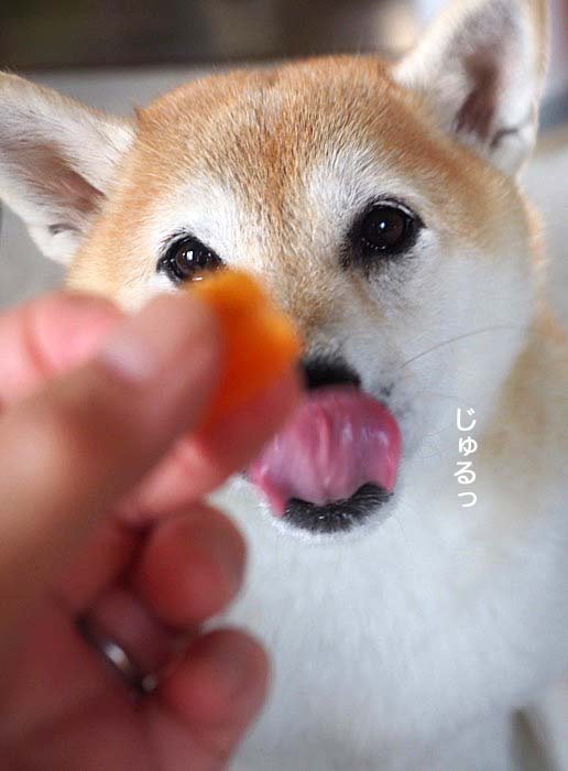 19日ブログ６