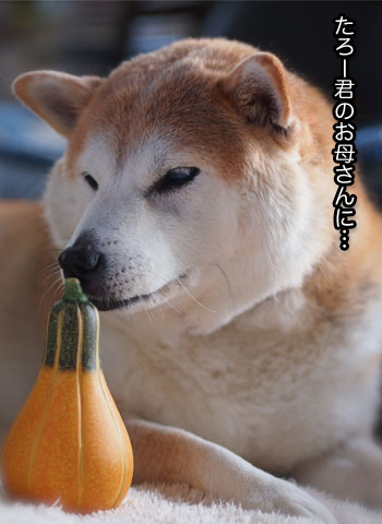 26日ブログ12.jpg