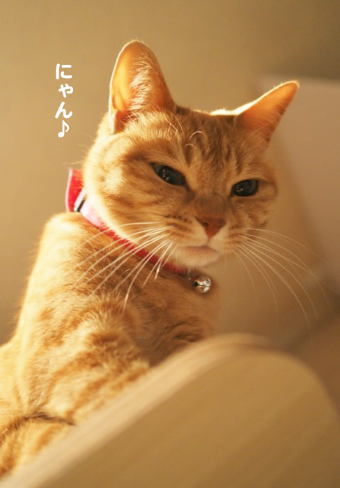 1日夕ブログ７