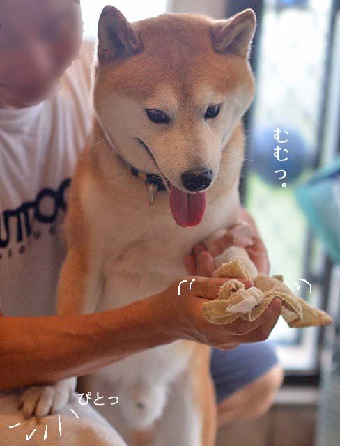 13日ブログ４