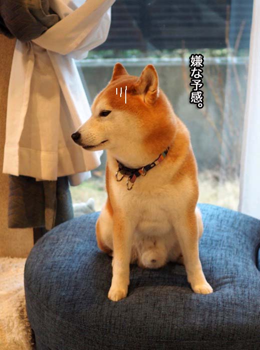15日ブログ3