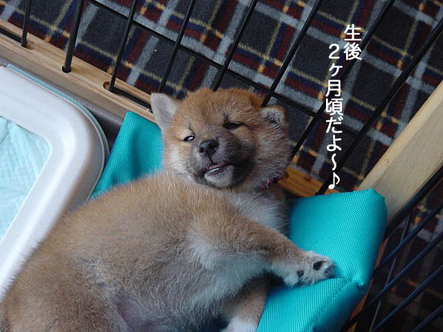 6日午前ブログ2