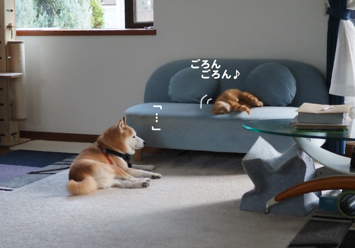 5日夕ブログ２