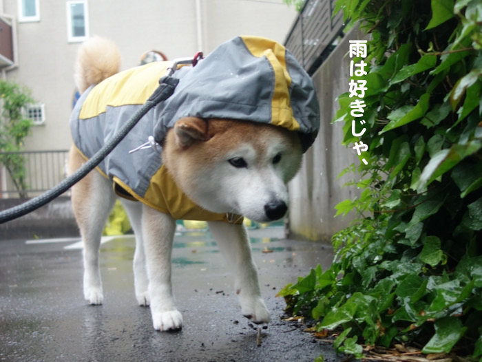 25日ブログ５