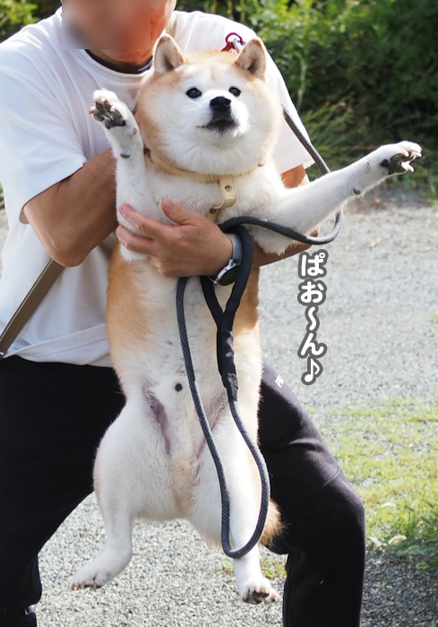 11日夕ブログ５