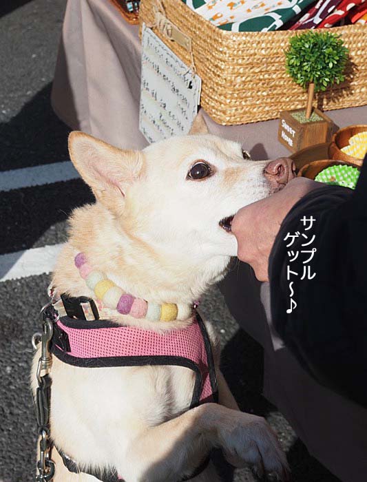 1日ブログ５