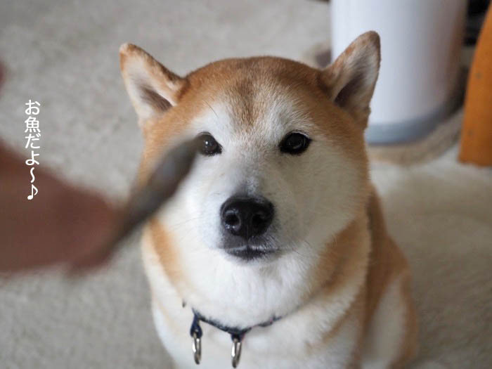 27日夜ブログ2