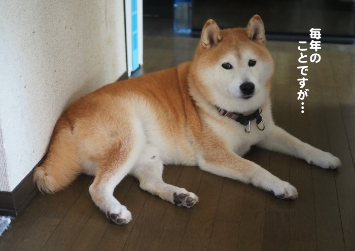 19日ブログ３