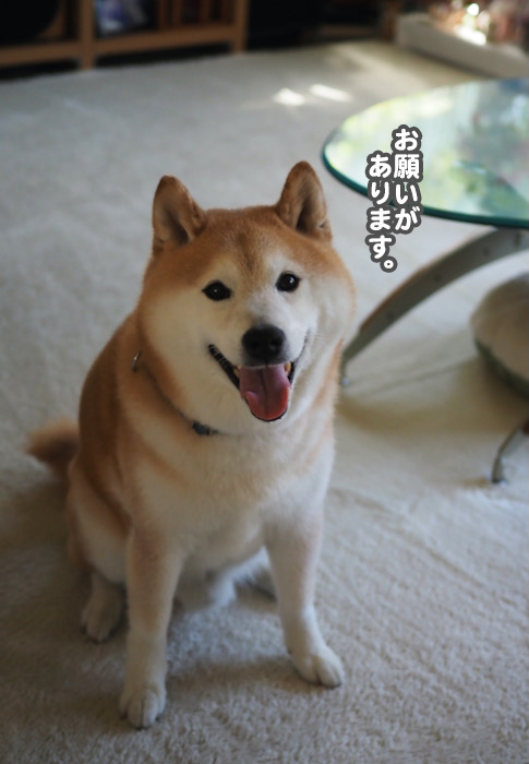 26日ブログ３