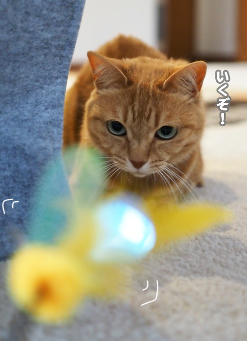24日夕ブログ８