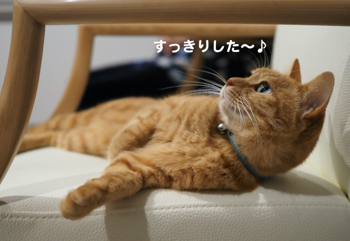 15日夕ブログ６