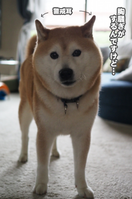 14日ブログ４