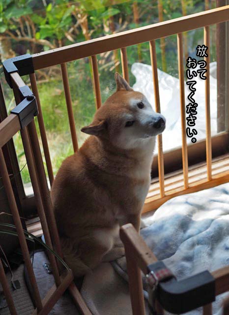 8日ブログ4