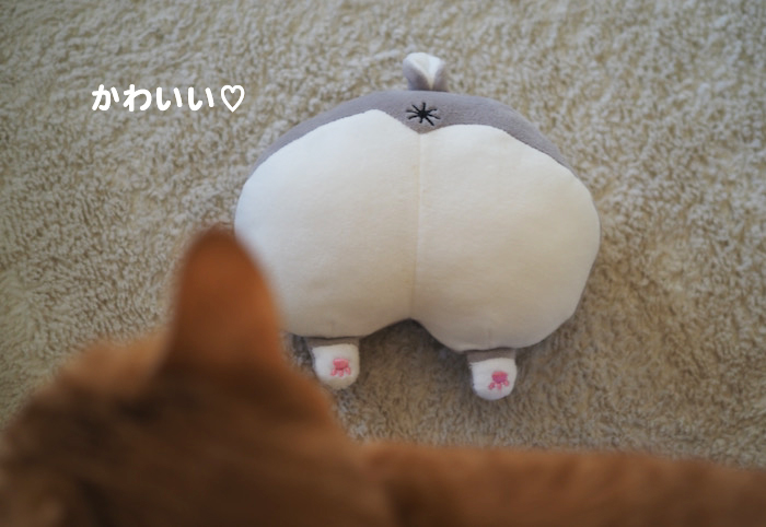 10日ブログ１