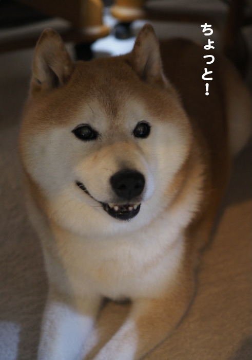 2日ブログ１