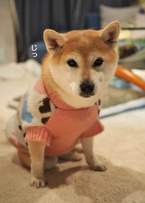 28日夜ブログ２