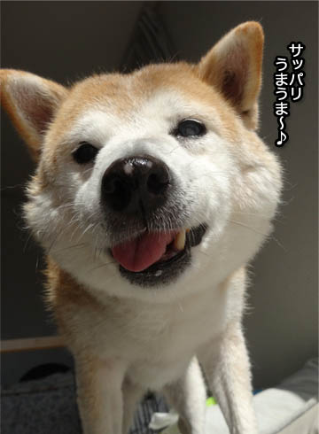 23日ブログ6.jpg