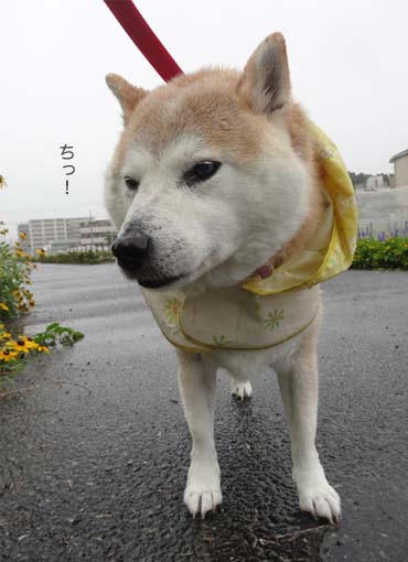 9日ブログ2.jpg